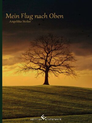 cover image of Mein Flug nach oben